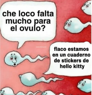 thumb_che-loco-falta-mucho-para-el-ovulo-aturdidopost-flaco-estamos-59394616.png